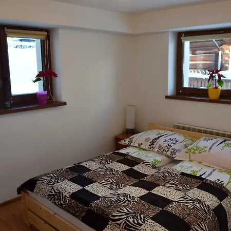 Apartament Dlugoszowka 扎科帕内