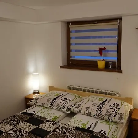 公寓 Apartament Dlugoszowka *